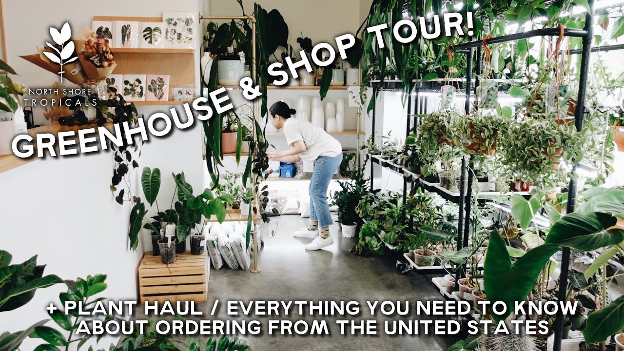 North Shore Tropicals greenhouse & store tour + what you need to know about ordering from the USA