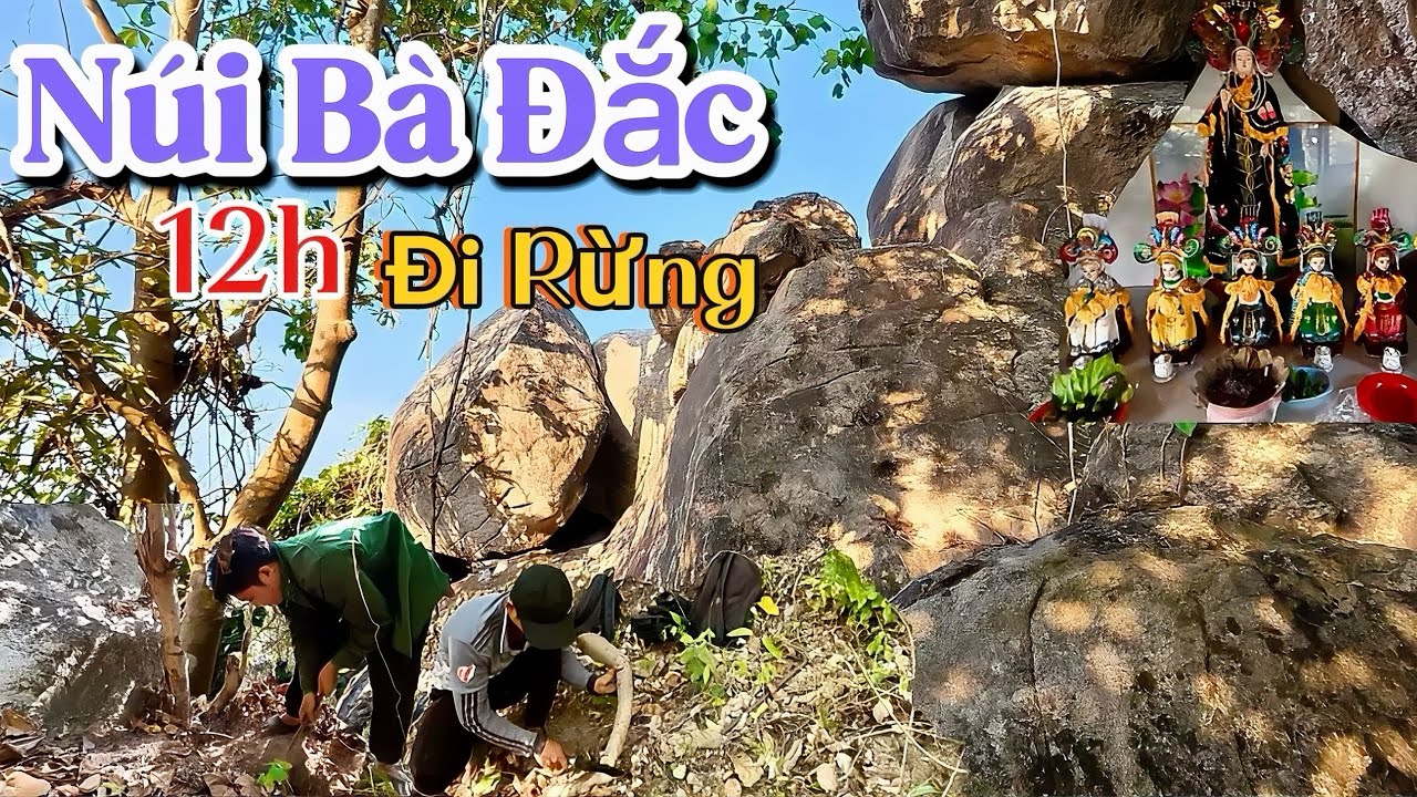 1 Ngày Đi Rừng tìm Củ Sâm Hồng - Tham quan Núi Bà Đắc Linh Thiêng | Bước Chân Khám Phá 