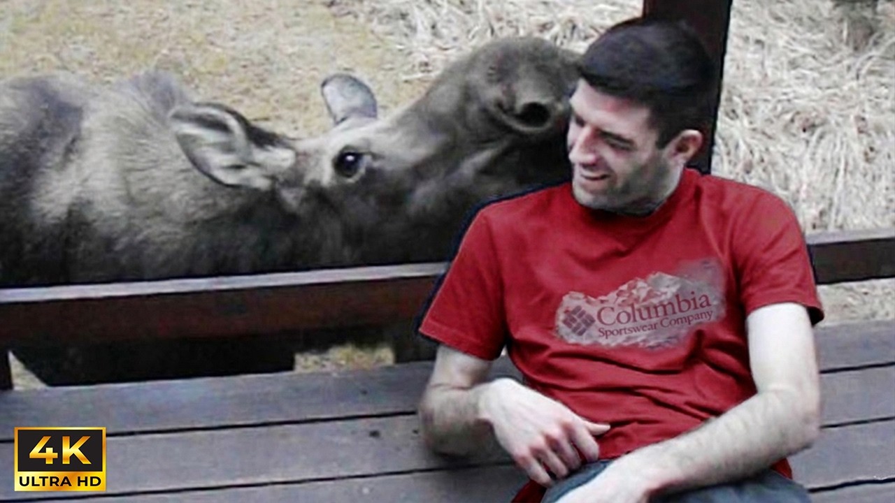 When the Human Becomes Part of the Wilderness 😍