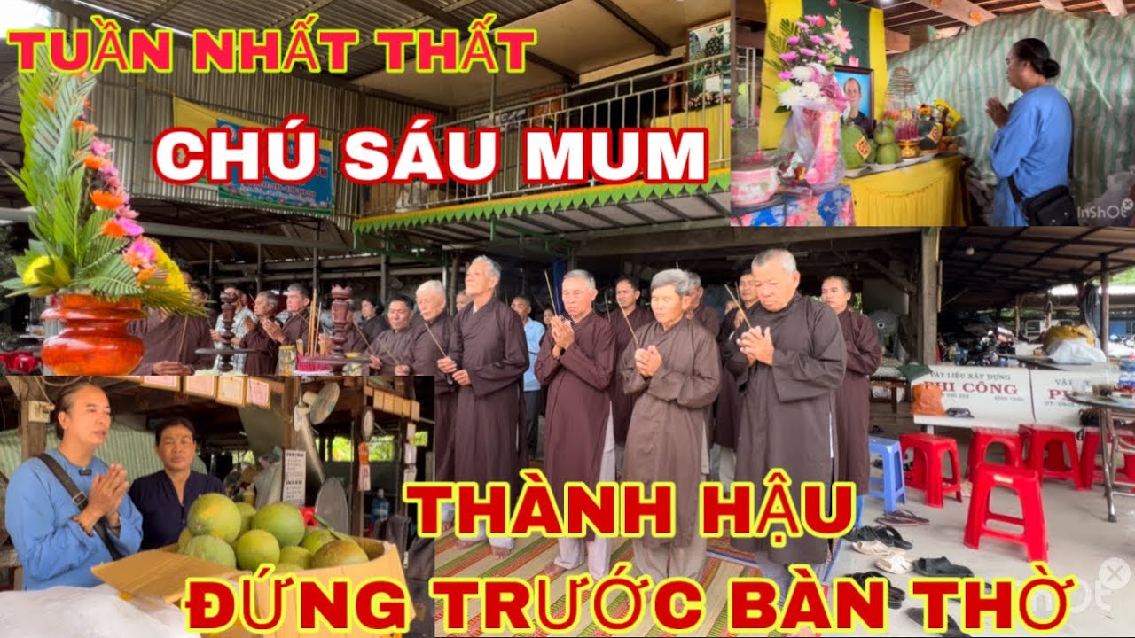 TUẦN THẤT THỨ NHẤT CỦA CHÚ SÁU MUM .