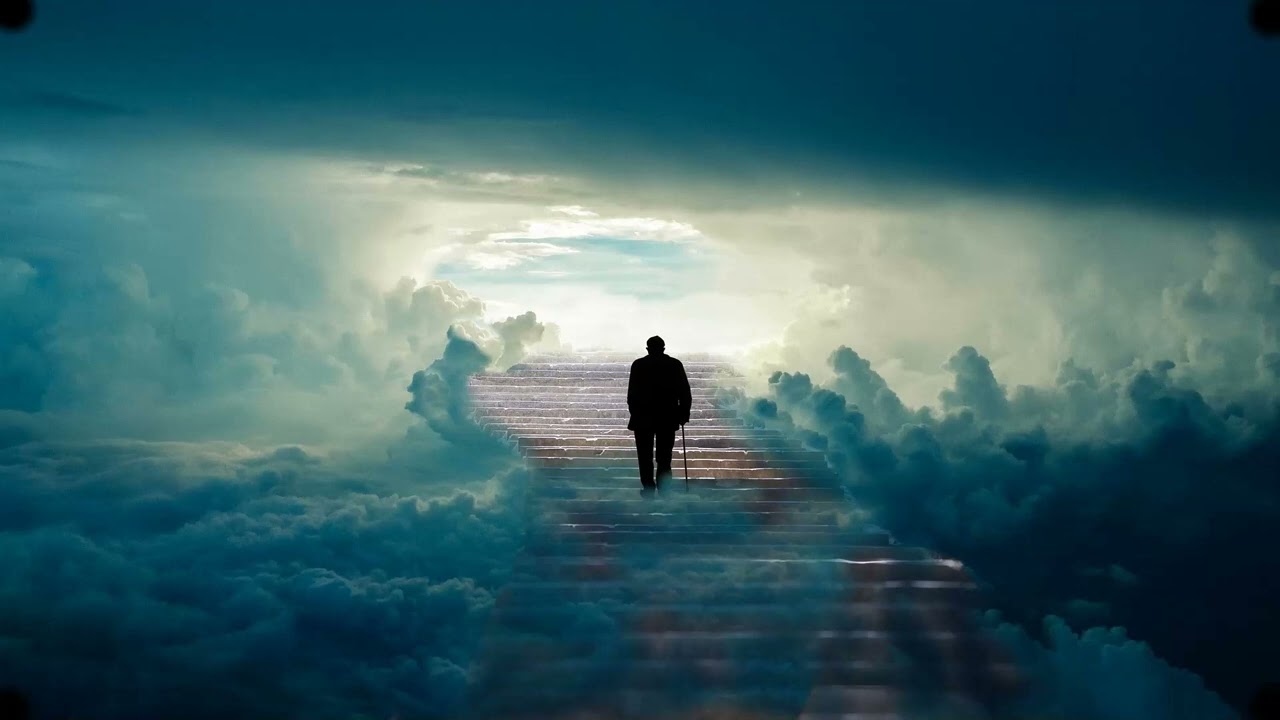 Afterlife - Stijn Aertgeerts