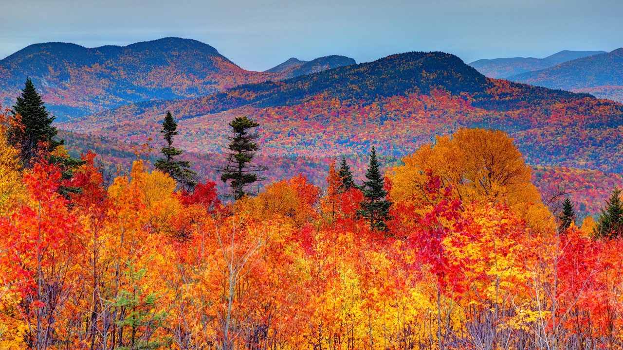 Pines and Autumn Oaks, Peaceful Autumn Mountains with Soothing Music by Tim & Elizabeth
