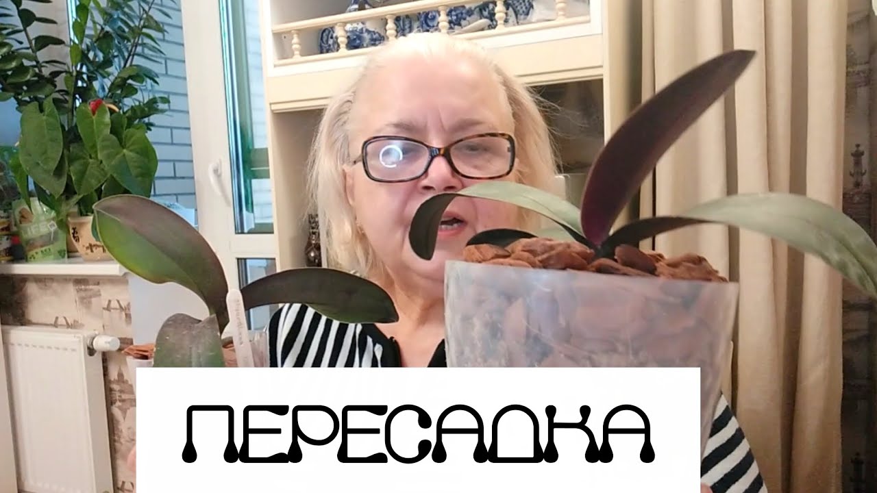 Работа над ошибками. Пересадка в закрытую систему. 