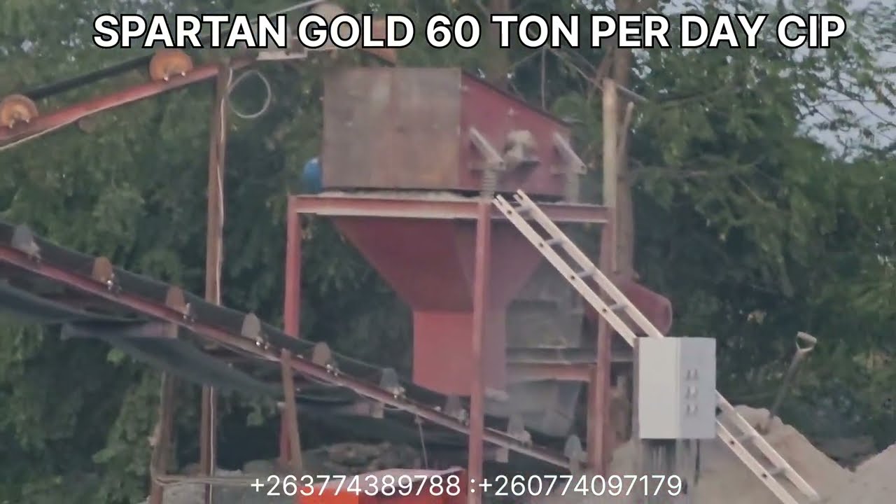 60 Ton per day Gold Cip Plant