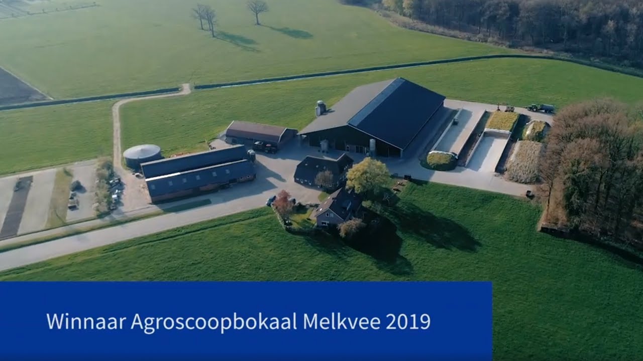 Agroscoopbokaalwinnaar 2019 Melkvee: Familie Berenpas (V.O.F de Scheurhorst)