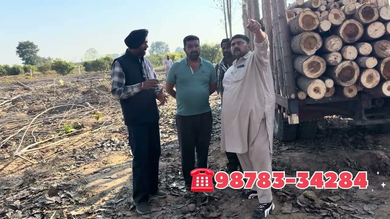 98783 34284