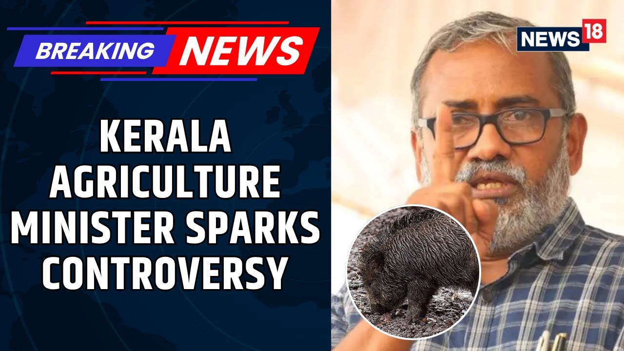 &lsquo;Kill Wild Boars And Eat Their Meat&rsquo;: Kerala Agriculture Minister's Comment Sparks Controversy