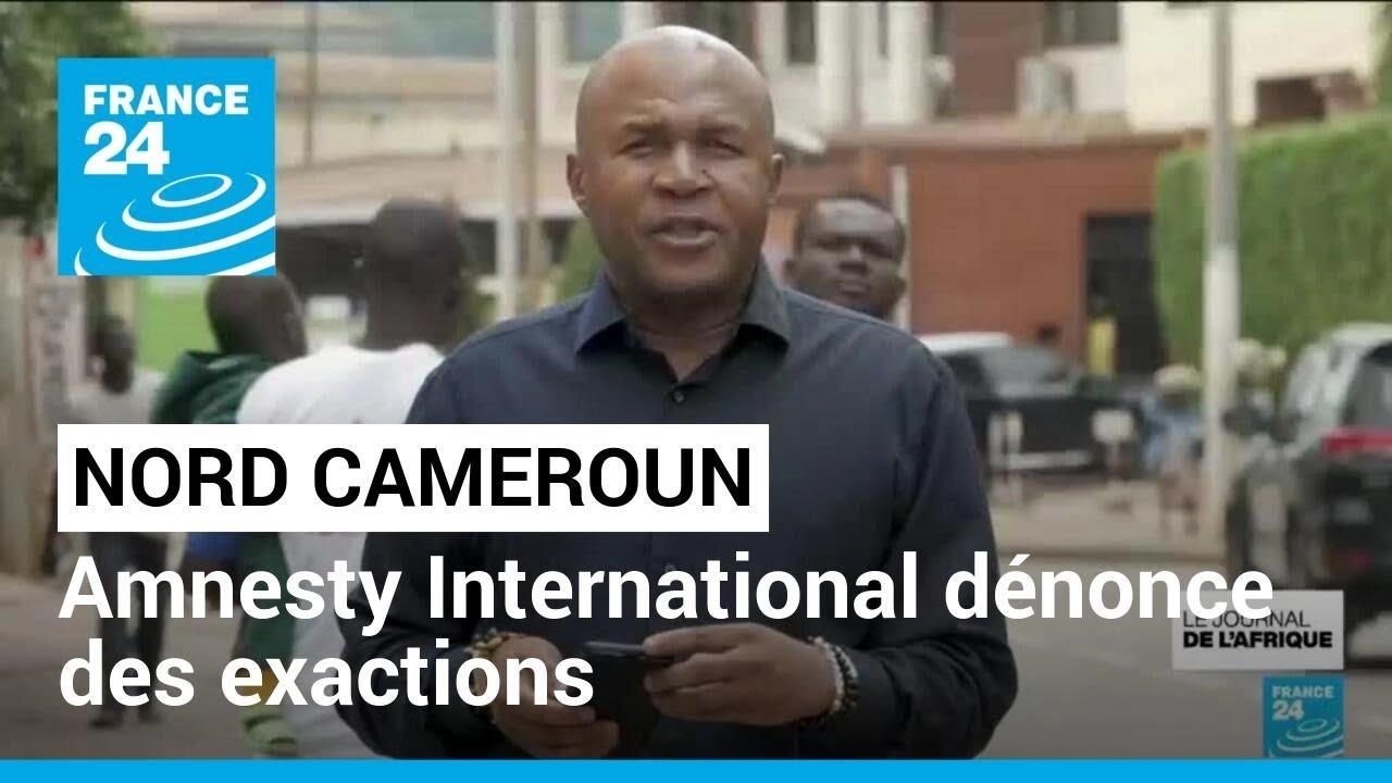 Nord Cameroun : Amnesty International d&eacute;nonce des exactions des deux camps &bull; FRANCE 24