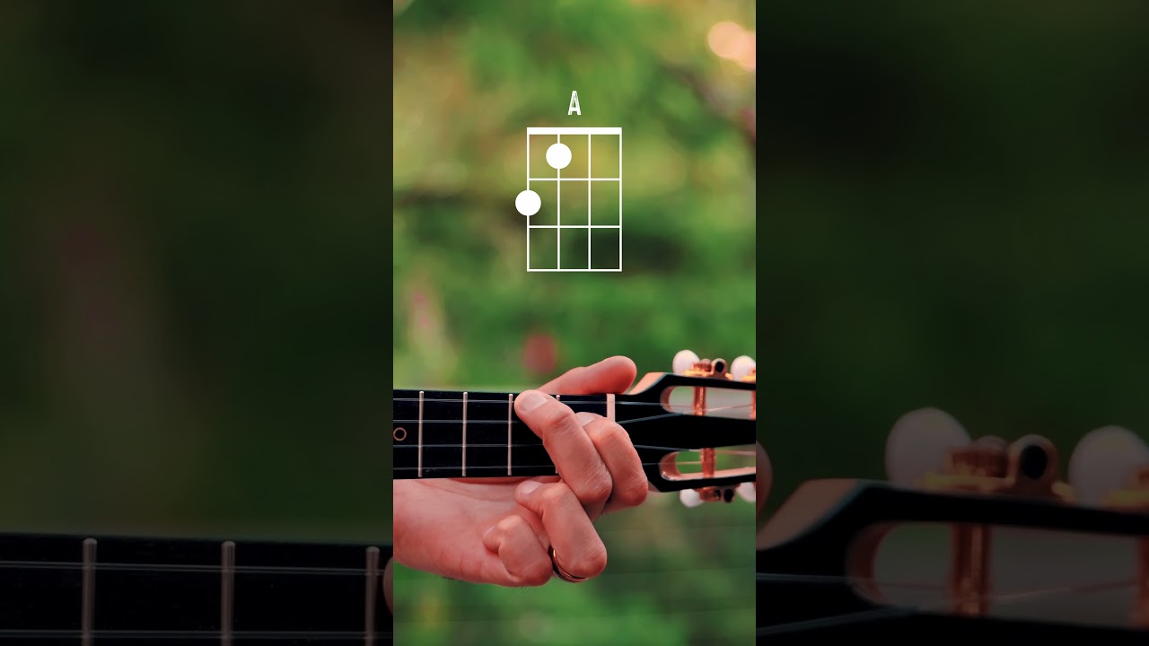 How To Play 
