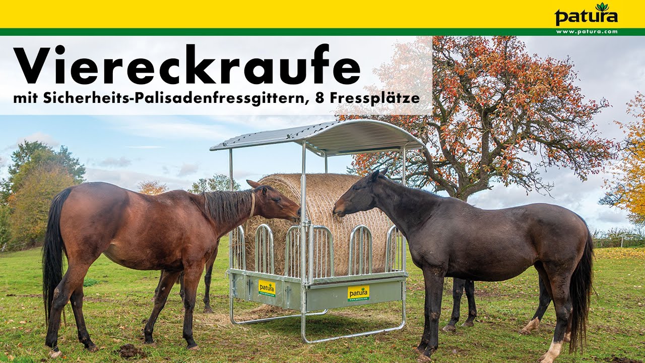 Viereckraufe mit Sicherheits-Palisadenfressgittern, 8 Fressplätze