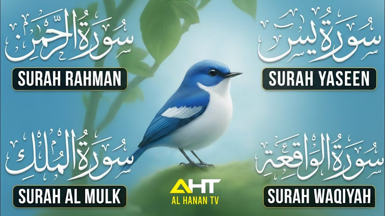 Soft & Heart-Touching Quran Recitation | Surah Yaseen | Surah Rahman | Surah Waqiah | Surah Mulk
