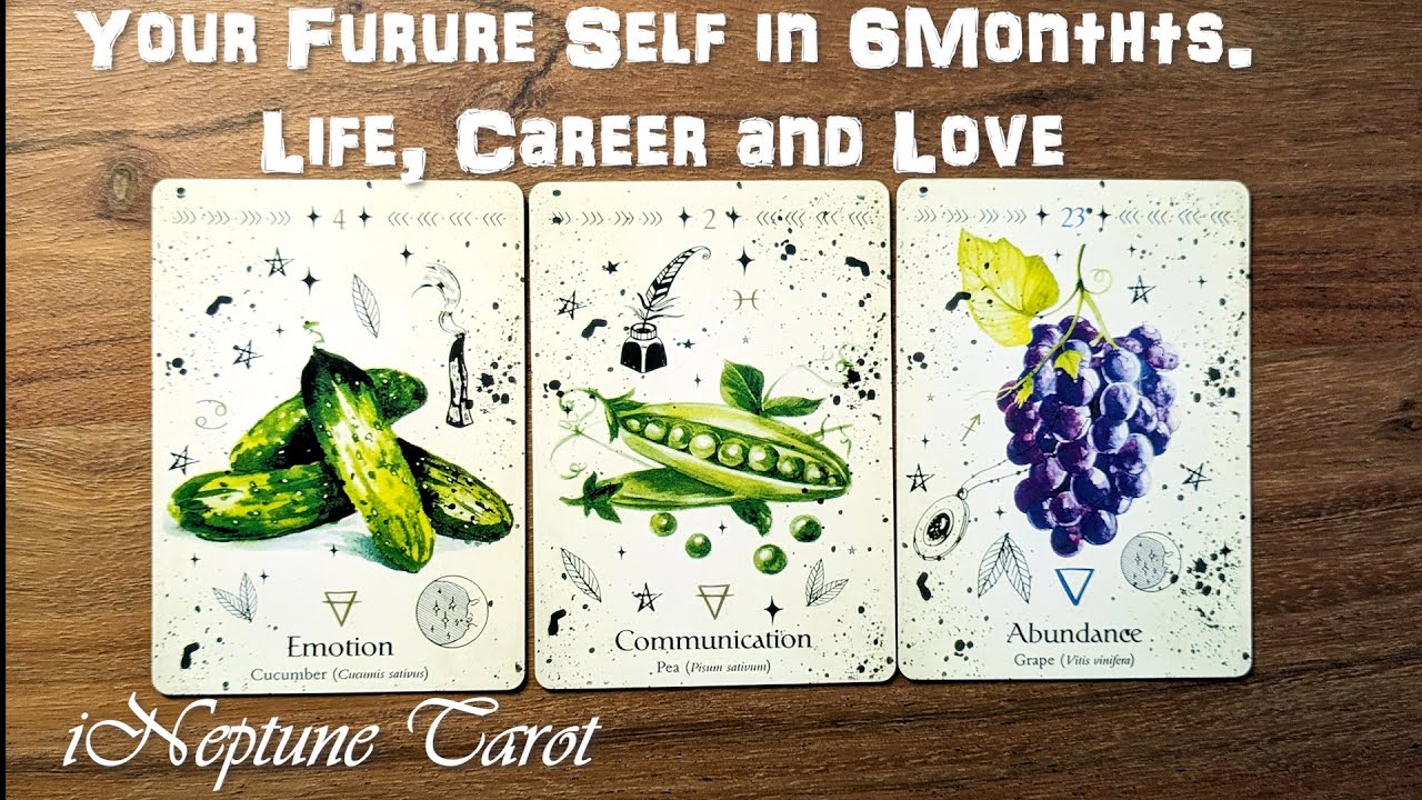Your Future Self 6 Months from Now: Life, Career, and Love 💼❤️ Pick a Card Tarot Reading 🔮