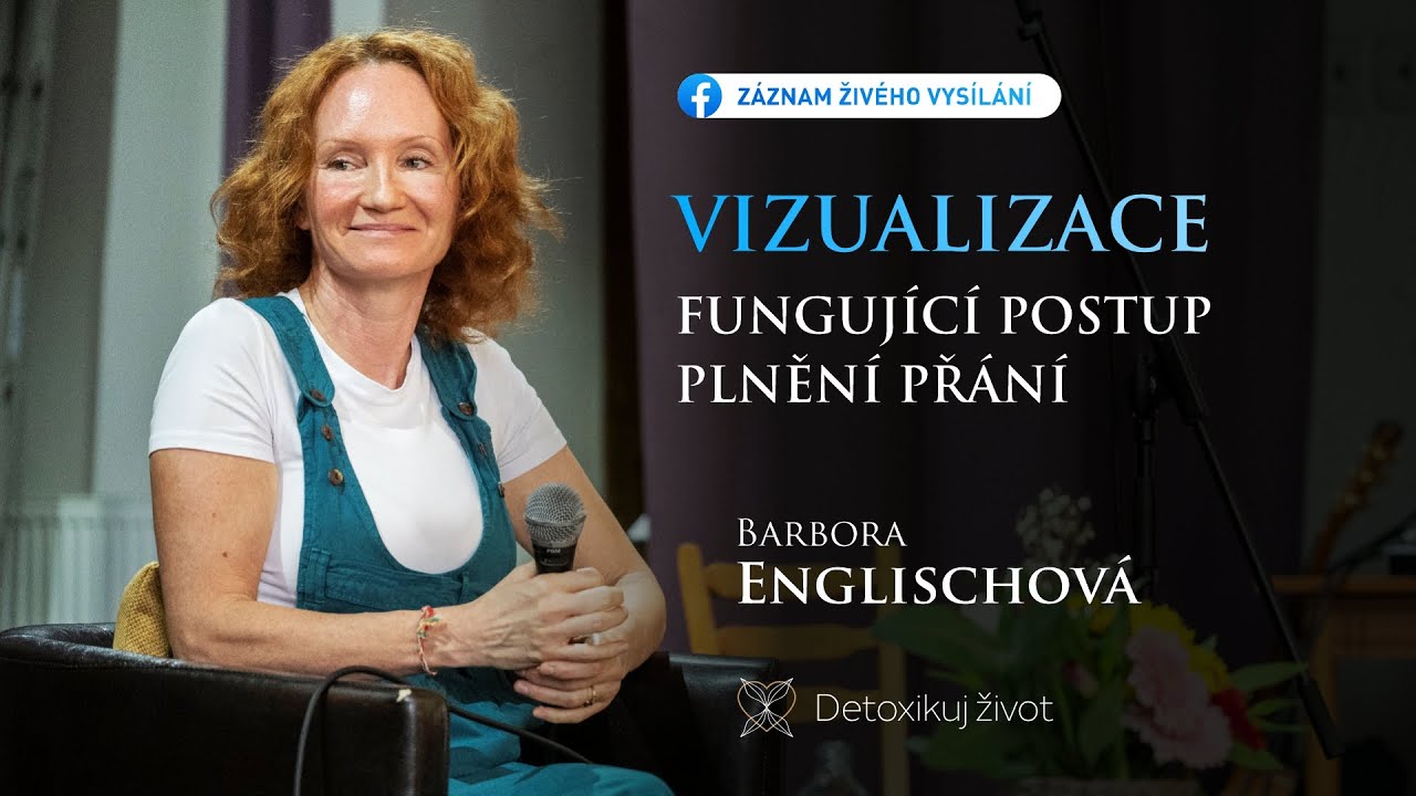 VIZUALIZACE - funguj&iacute;c&iacute; postup plněn&iacute; př&aacute;n&iacute;