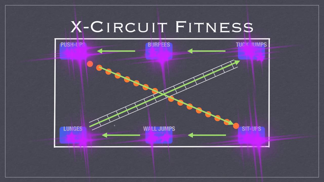 PE Games - X Circuit
