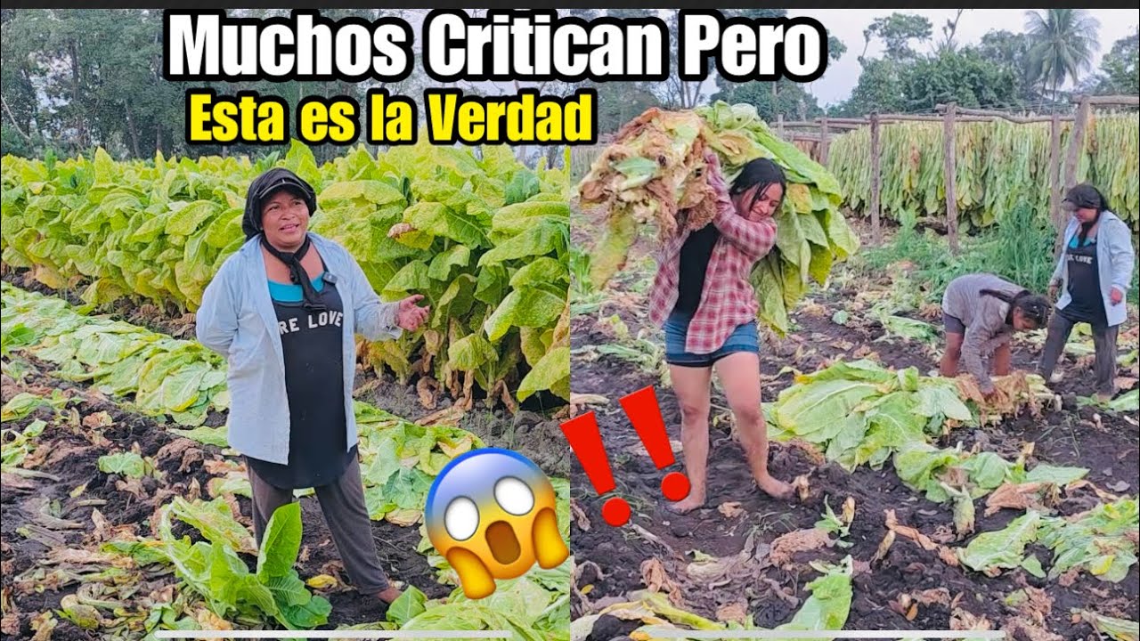 Yo no obligo a Mis Hijos A Trabajar, 😡Doña Juanita Dijo Lo Que es 😱