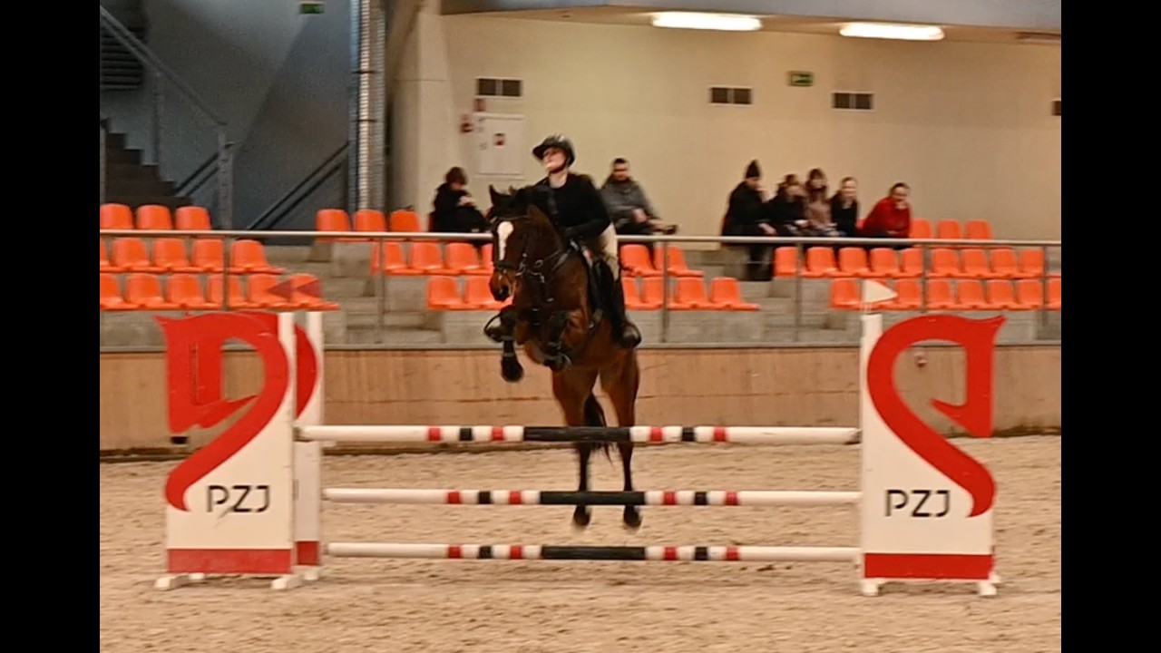 Nixon Comila- competition level 1.10m -Sopot 28.02.2026