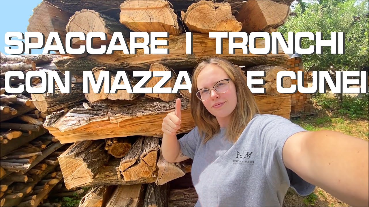 Spaccare i tronchi 🪵 con mazza e cunei | Split the woods with hummer and wedges