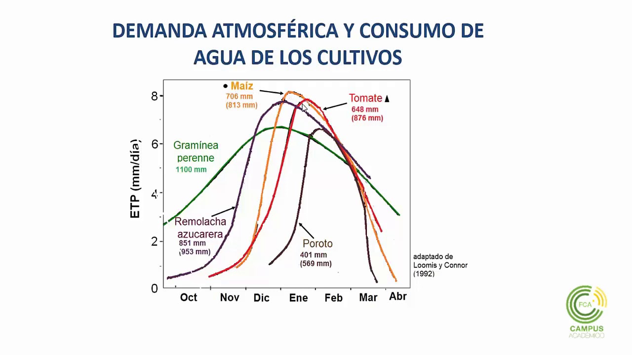 Evaporación y Evapotranspiración (Parte 3)