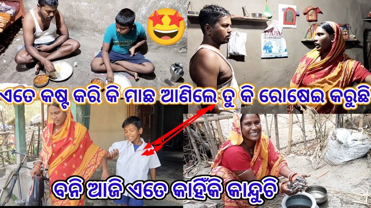 ଏ ତରକାରୀ ଭିତରୁ ଏ କଣ ବାହାରିଲା//subhadra odia vlog//odia vlog 