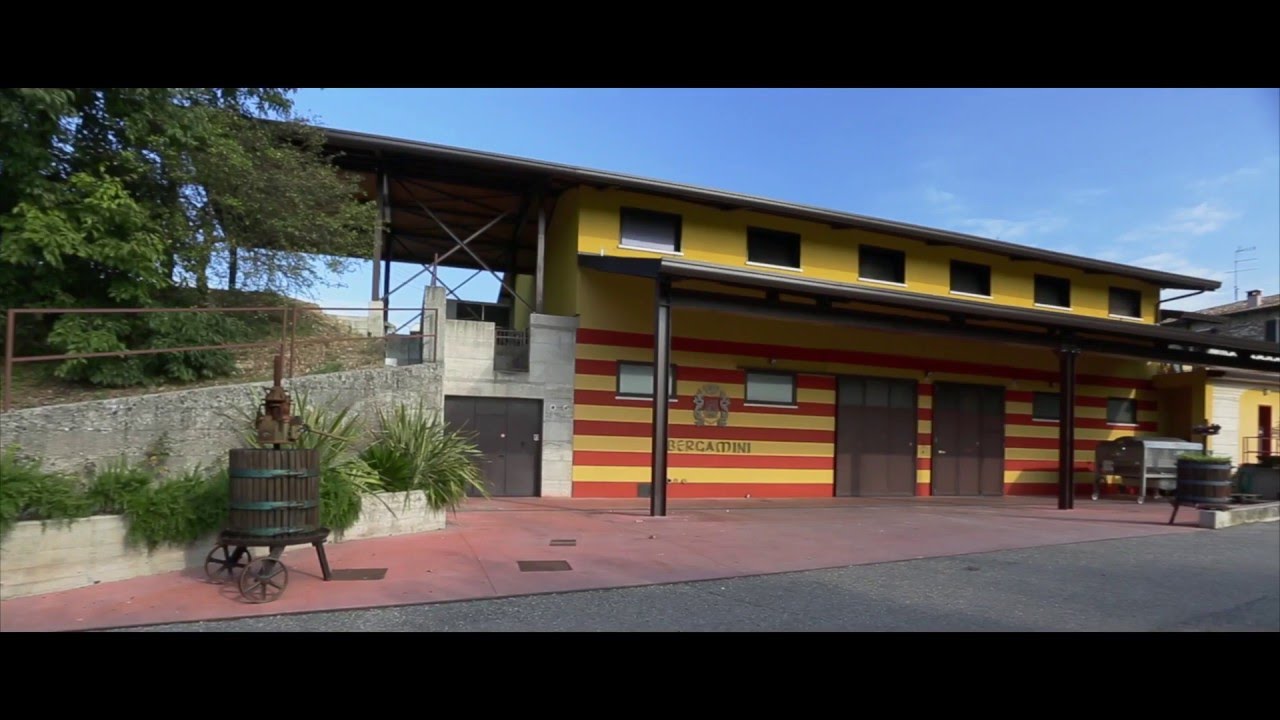 Bergamini Azienda Agricola, cantina vinicola Colà di Lazise