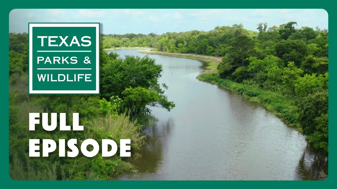 PBS Show - Bayou City Conservation & More