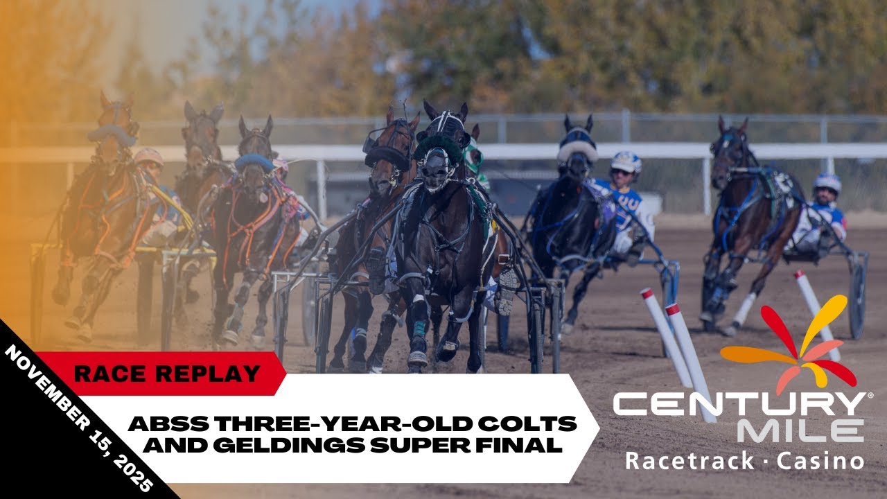 ABSS Three-Year-Old Colts and Geldings Super Final - November 15, 2025