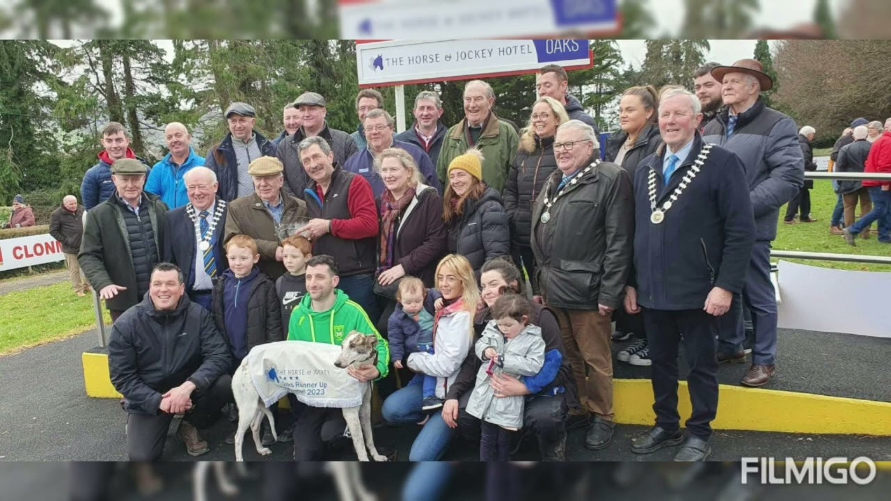 2023 was a year to remember for Liam Dowling at Clonmel coursing.