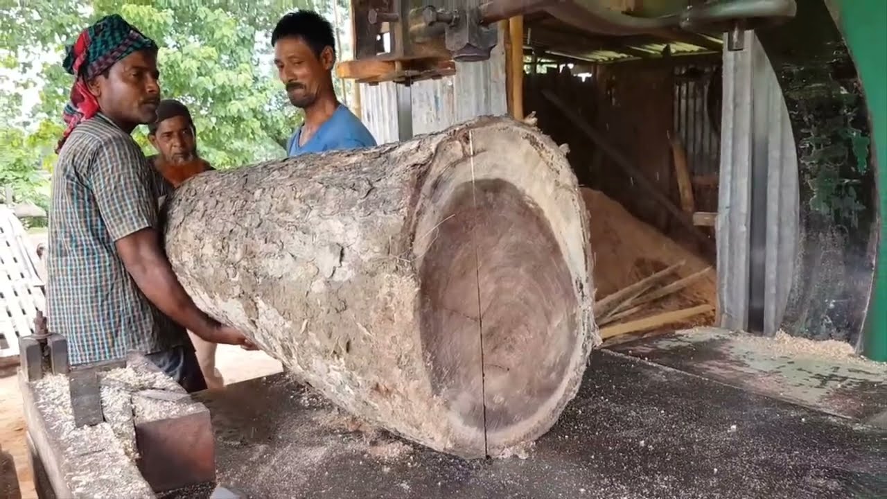 Dangerous - Rural Sawmill - Tree Cutting|| Tree Cutting Dangerous Sawmill Asia