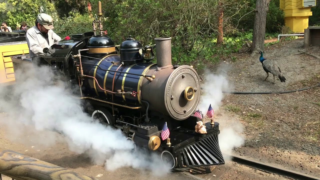 Little Puffer Steam Train
