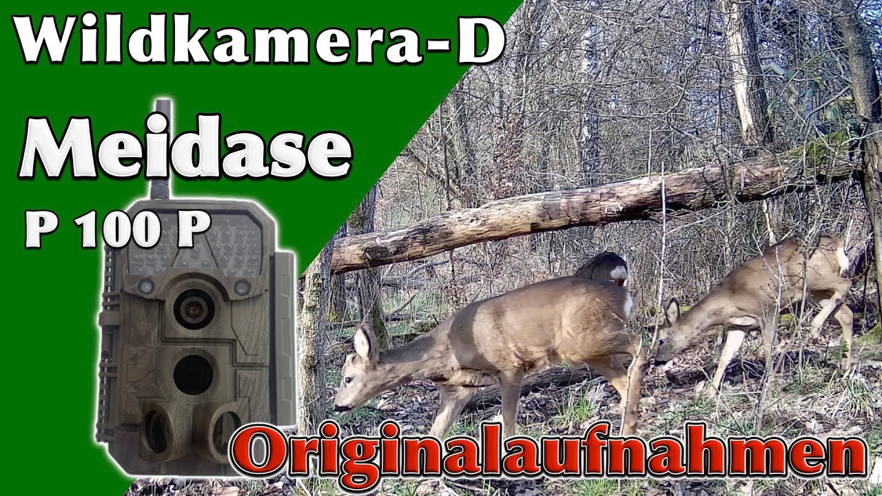 Meidase P100P Vorstellung Originalaufnahmen und Review