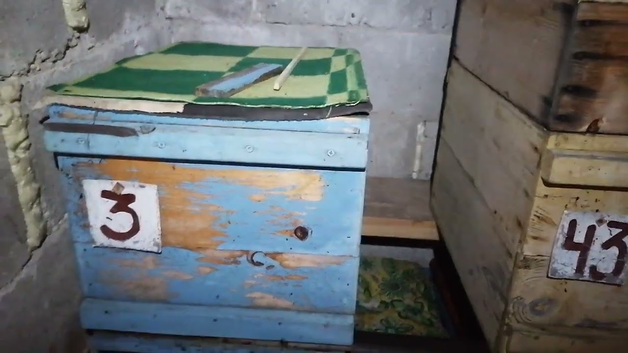 Пчёлы в зимовнике. Вентиляция.