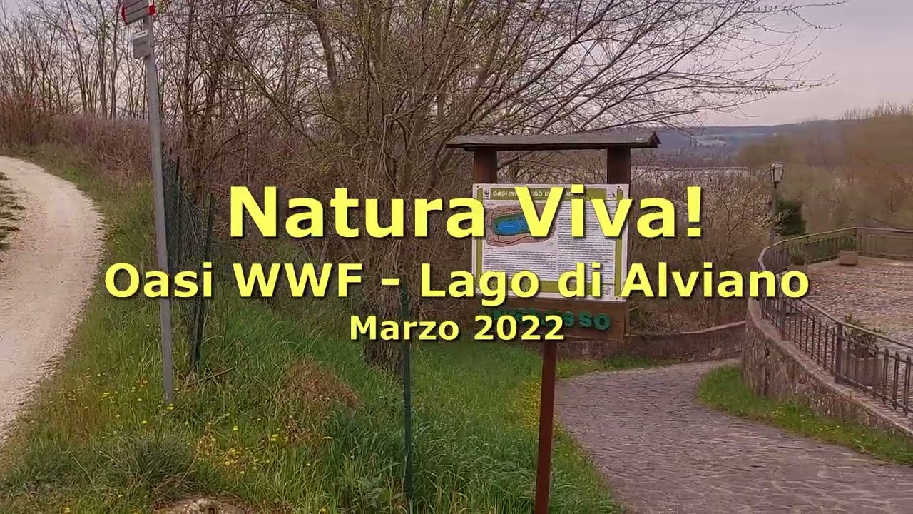 NIKON Z9 for Wildlife in Oasi WWF Lago di Alviano - Marzo 2022