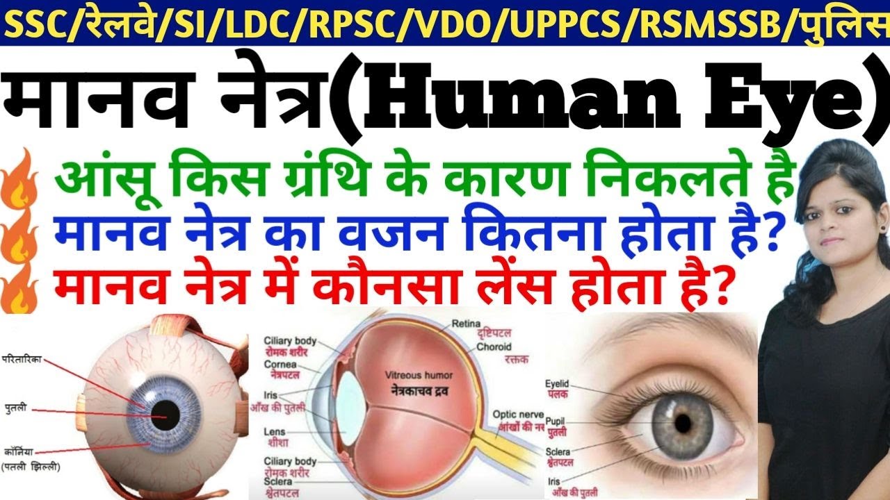 Human eye Important questions | मानव नेत्र महत्वपूर्ण प्रश्न | General Science | Science Gk in hindi