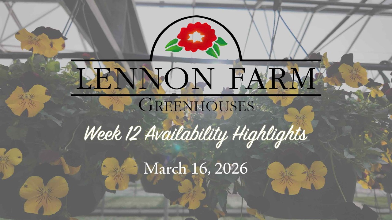 Availability Highlights: Mar 16, 2026