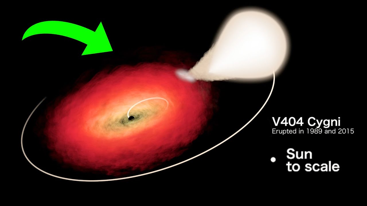 You've Never Seen These Rare Black Holes! - X-ray Binaries