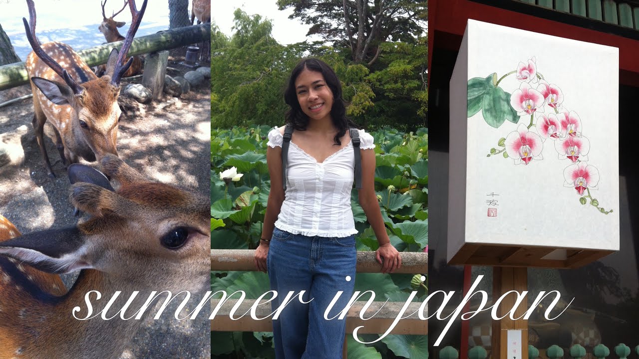 summer in japan ⋆˙⟡ | kamakura, kyoto, osaka, etc.