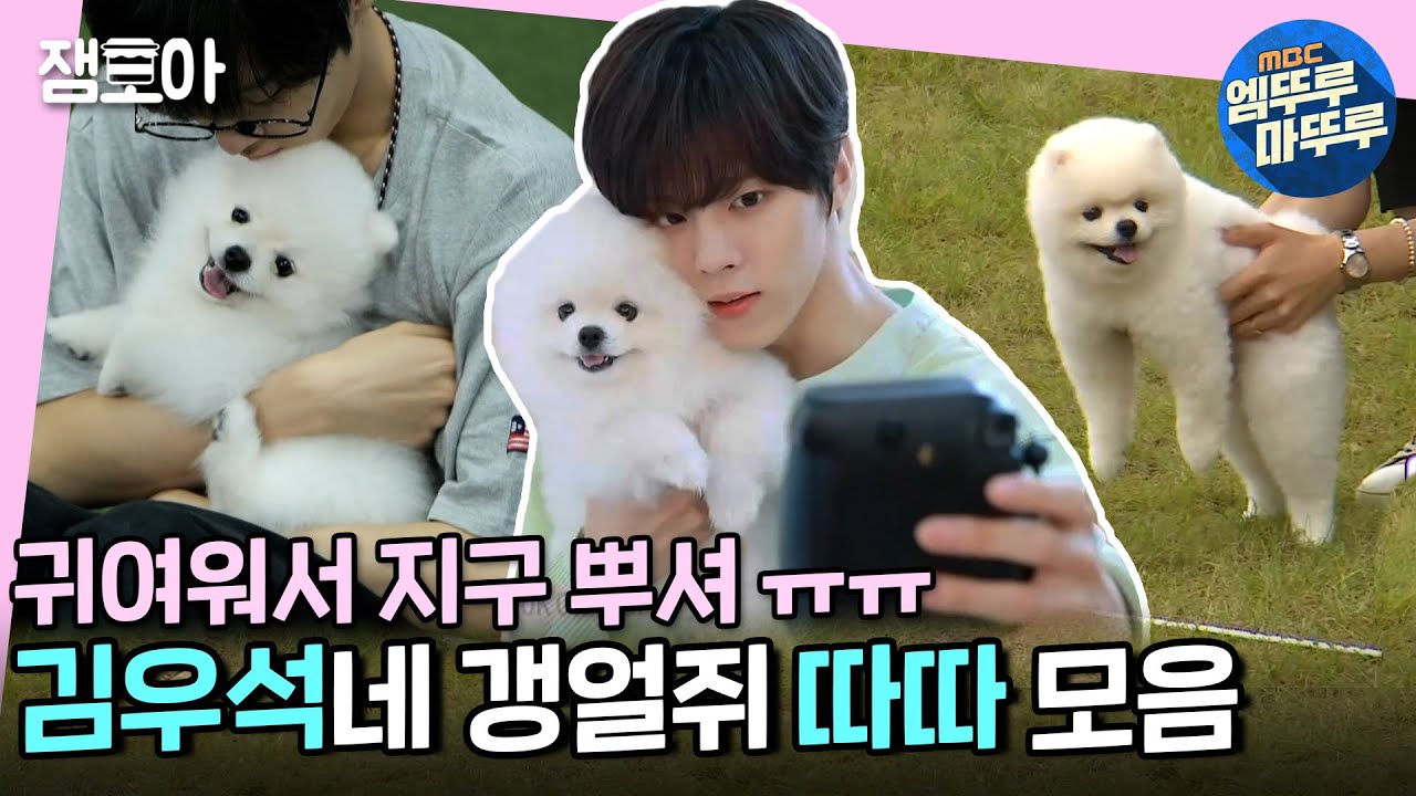 [아이돌 멍멍 선수권대회] 아기 포메 따따 귀여워서 벽 치다가 우리집 원룸됨 ㅠㅠ 김우석네 반려견 따따 모음ZIP! ㅣ#엠뚜루마뚜루 #잼모아 # 엠돌핀