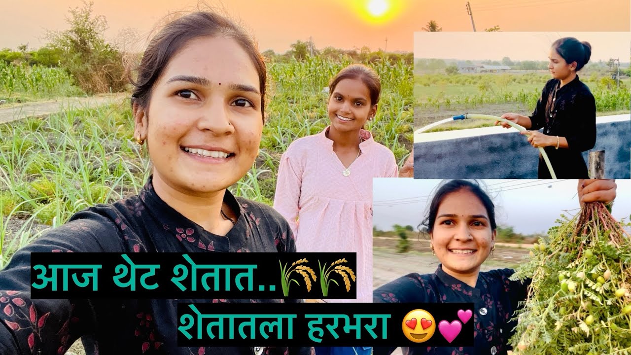 थेट शेतात🌾 |शेतातून आणला हरभरा|😍💕शेतातला चुलत्यांचा बंगला🥰#vlog #marathi #viral #maharashtrianvlogs 