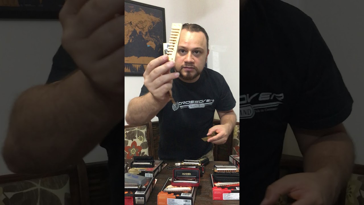 REVIEW: HOHNER CROSSOVER ( Little Will)