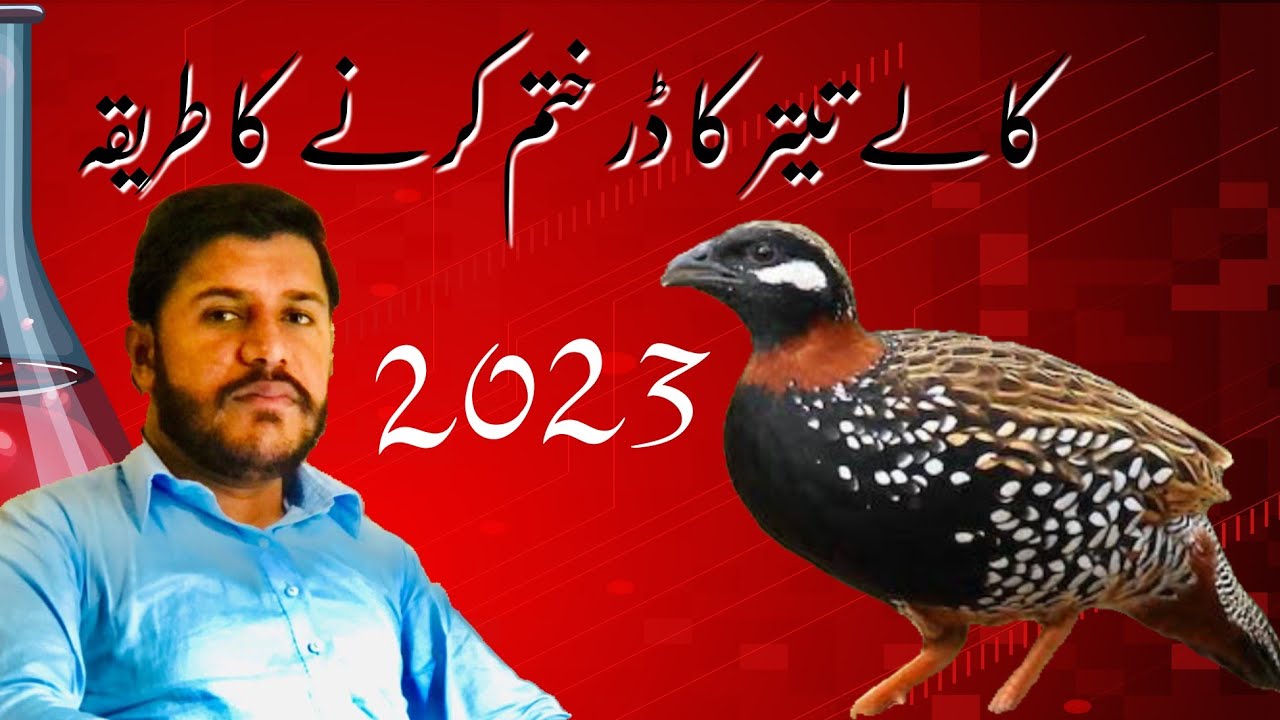 Kala Teetar Ka Dar Khatam Karne Ka Tarika |2023|  کالے تیتر کا ڈر ختم کرنے کا طریقہ
