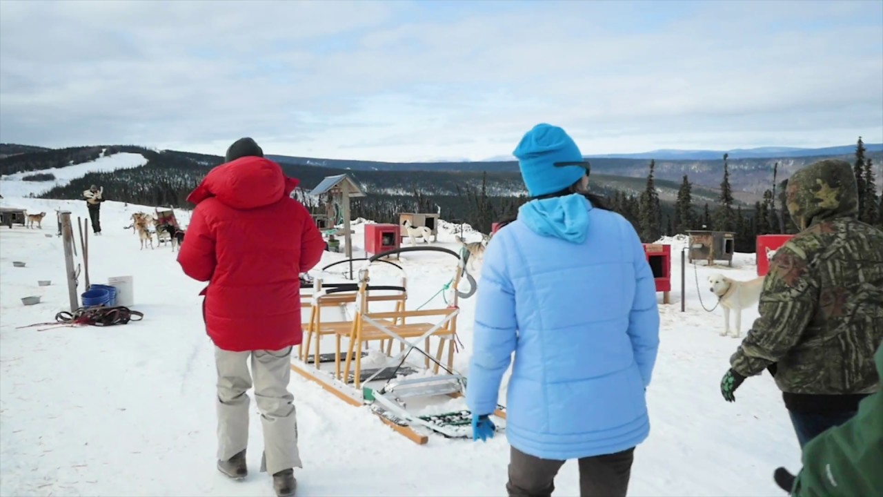 Dog Sledding/Mushing - Top 10 things to do in Fairbanks, Alaska