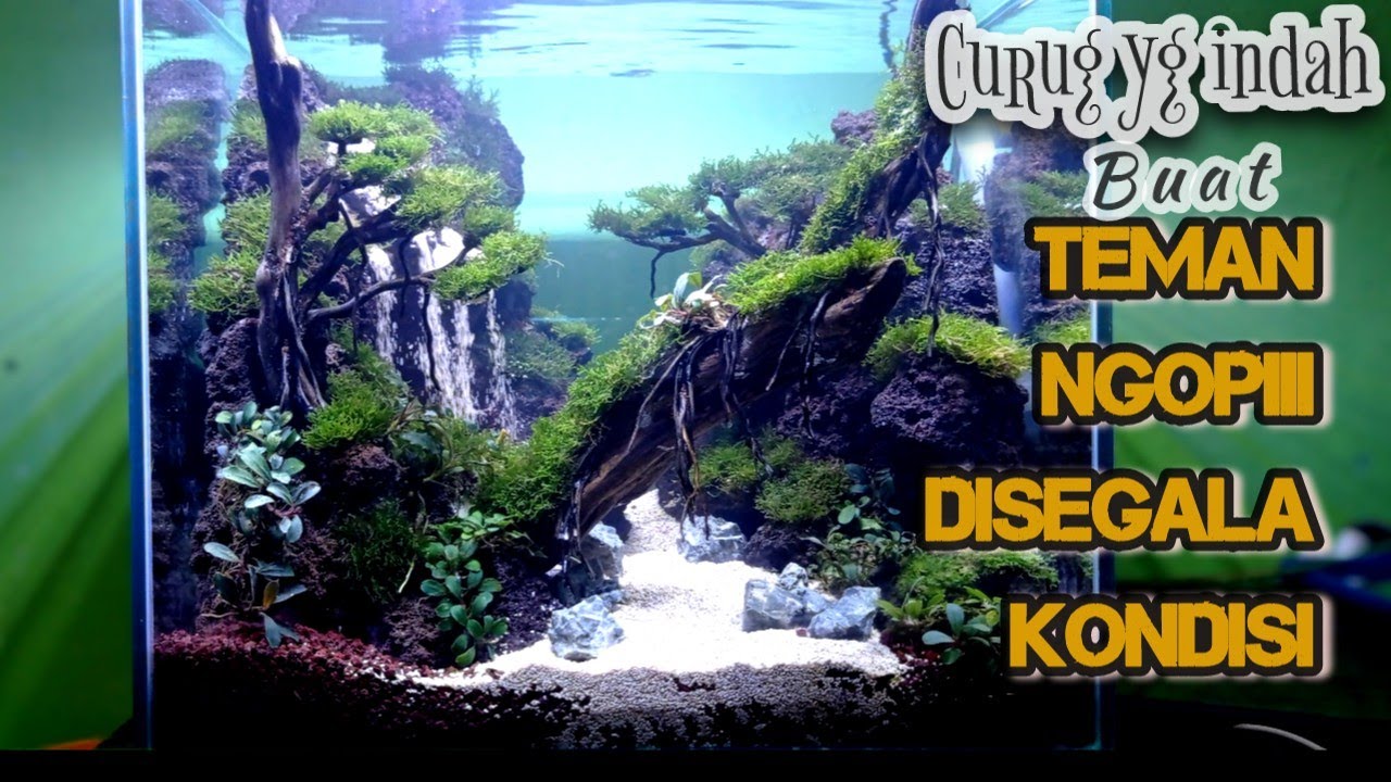 step by step cara setting aquascape air terjun || waterfall aquascape || waterfall aquarium