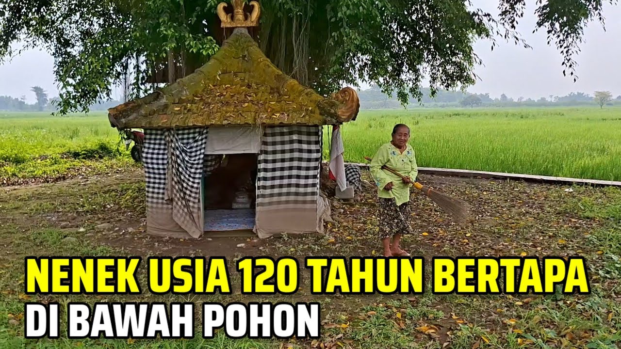 Kuasa Tuhan.! Nenek Usia 120 Tahun Bertapa Di Bawah Pohon