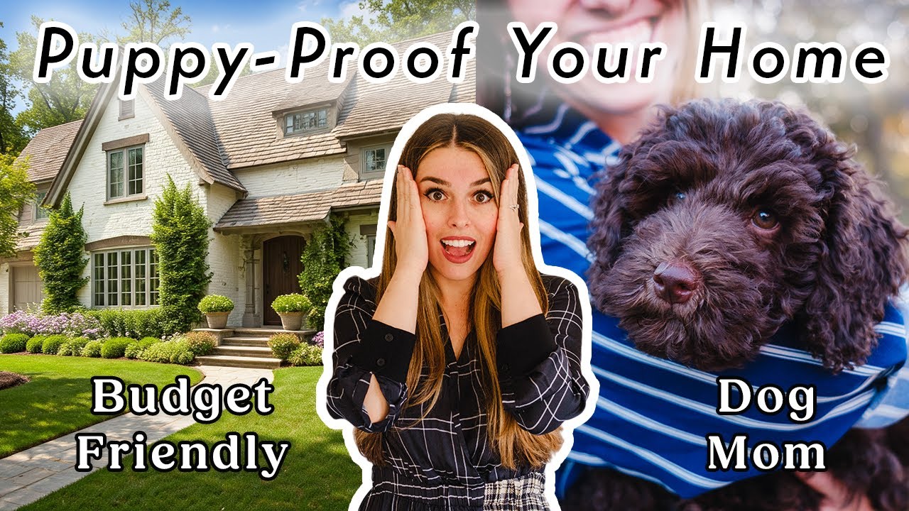Puppy-Proof Your Home | Easy & Budget Friendly Solutions
