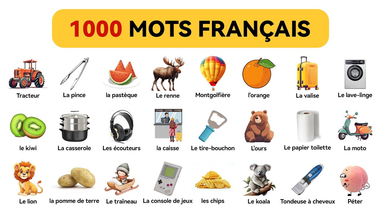 1000 Mots Fran&ccedil;ais (Ensemble) | Mot en fran&ccedil;ais &ndash; niveau d&eacute;butant (A1-B1)