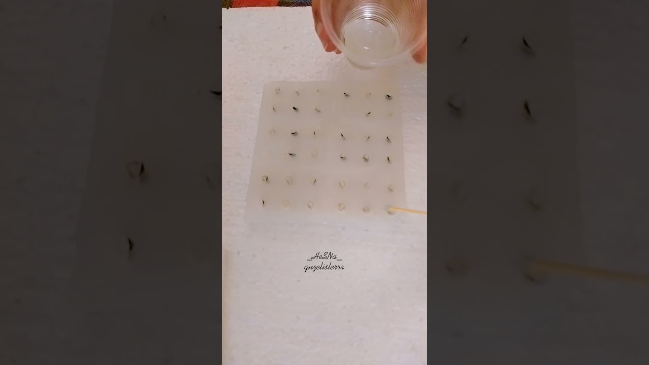 Epoksi resimli tesbih yapımı. albüm mu tesbih, tesbih mi albüm oldu