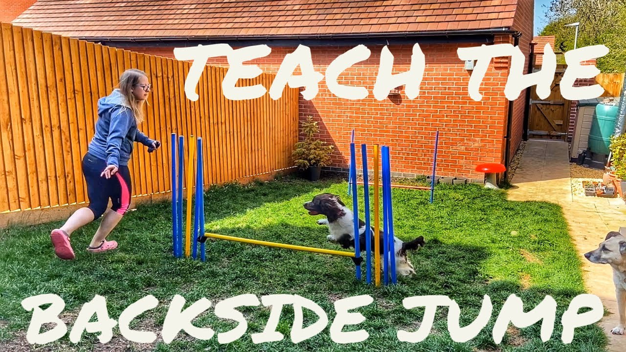 TEACHING THE BACKSIDE JUMP | Back Garden Dog Agility Training