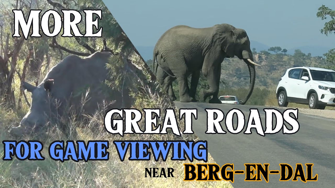 More great roads for game viewing near Berg- En- Dal