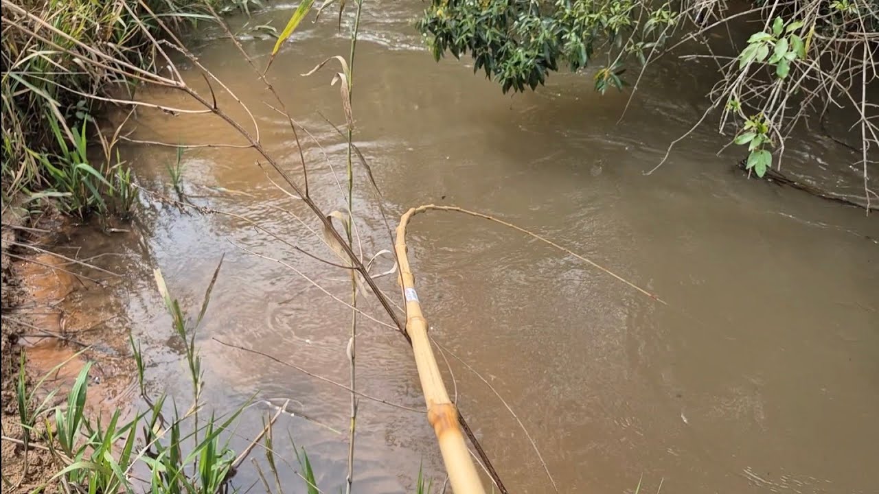 FOI FISGADA BRUTA PARA TODO LADO NESSE RIOZINHO, INACREDITÁVEL!!!
