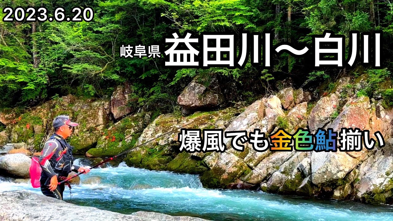 【鮎釣り】益田川、白川（岐阜県）｜2023.6.20【友釣り】